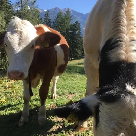 Casa vacanze Obere Roner Kasa *
